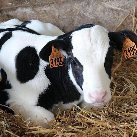 Le Thuit - F2 Plain Pied Tout Equipe A La Ferme Charleval (Eure) Exterior foto