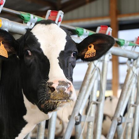 Le Thuit - F2 Plain Pied Tout Equipe A La Ferme Charleval (Eure) Exterior foto