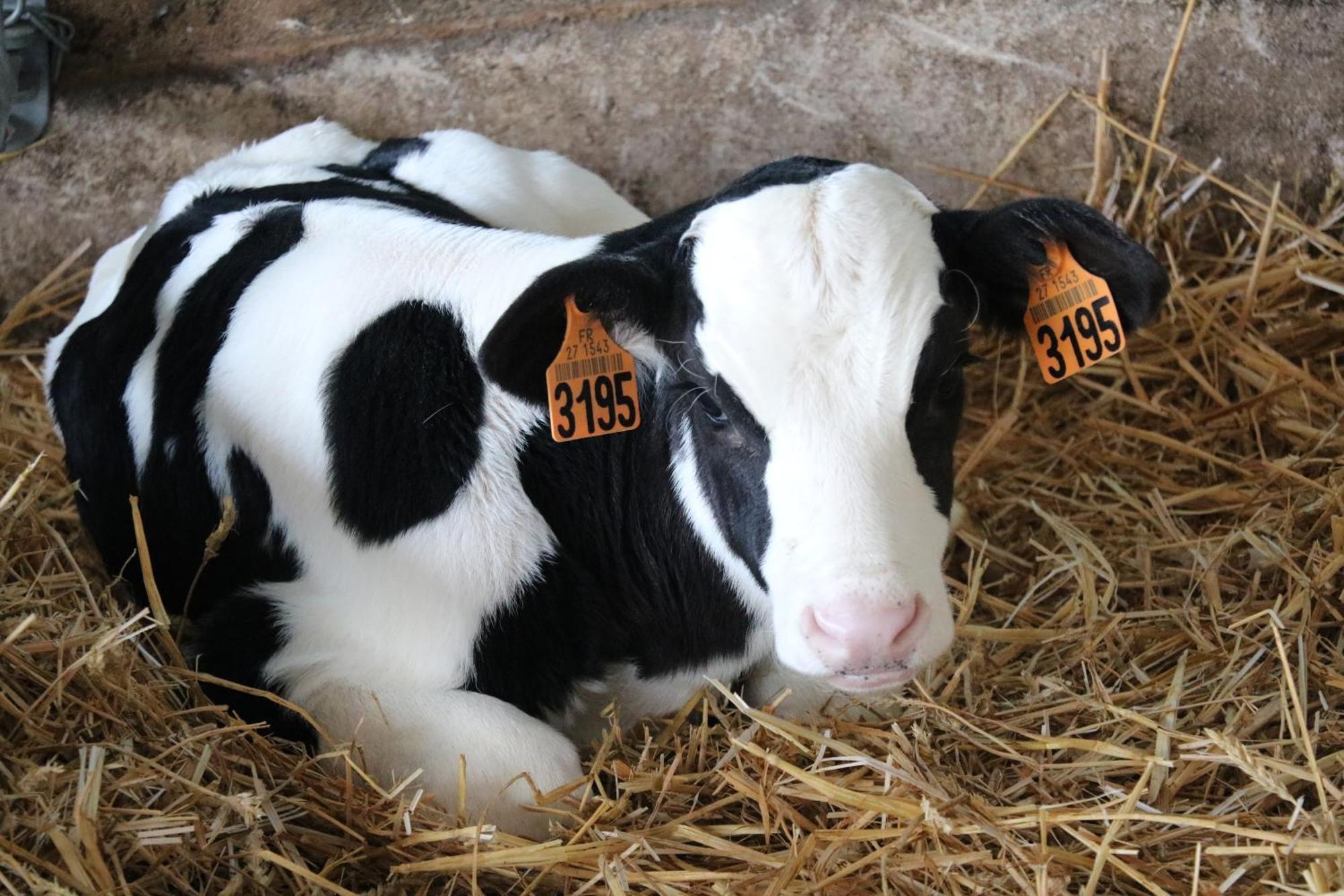 Le Thuit - F2 Plain Pied Tout Equipe A La Ferme Charleval (Eure) Exterior foto