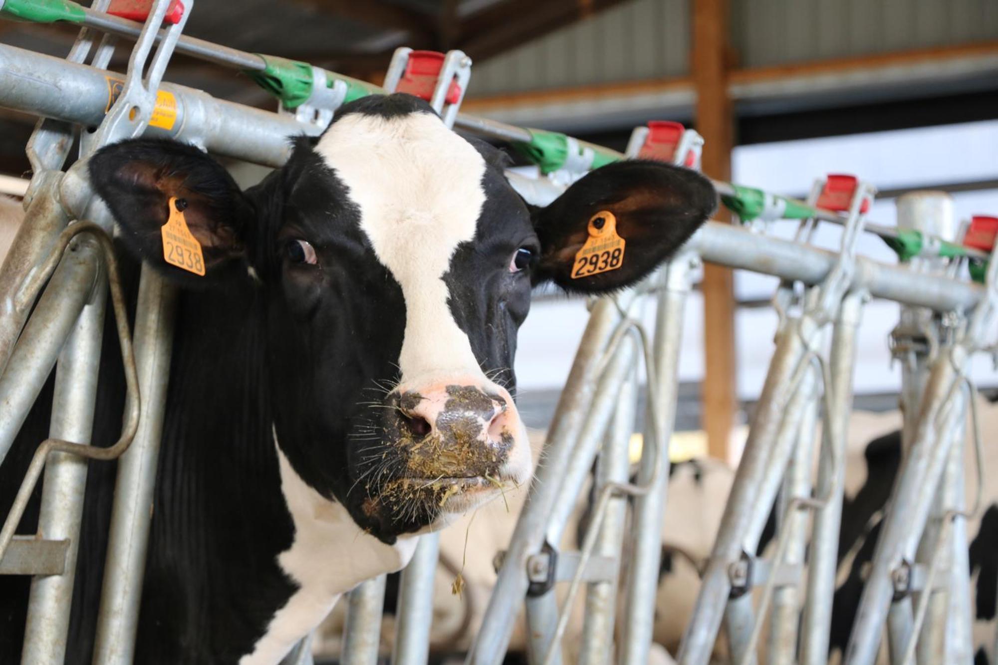 Le Thuit - F2 Plain Pied Tout Equipe A La Ferme Charleval (Eure) Exterior foto