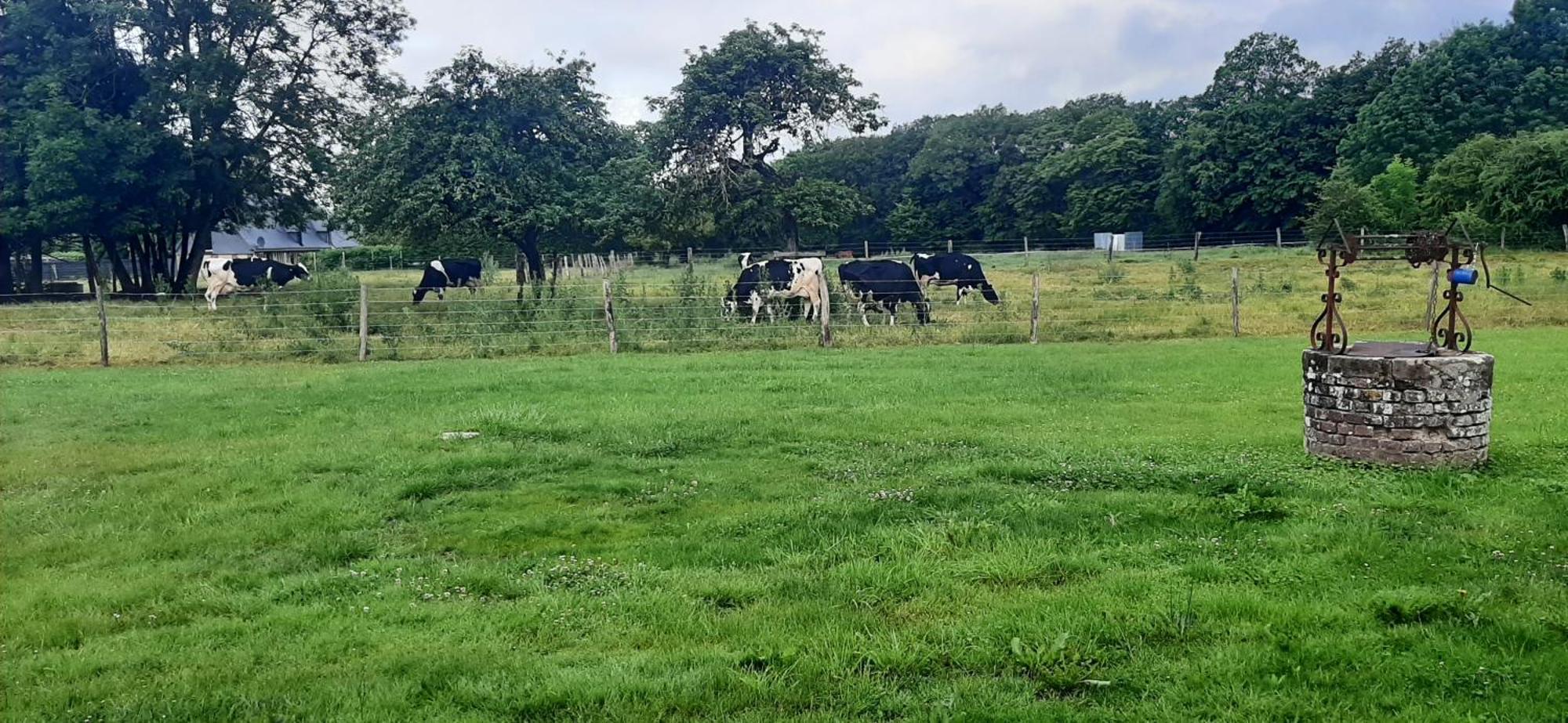 Le Thuit - F2 Plain Pied Tout Equipe A La Ferme Charleval (Eure) Exterior foto